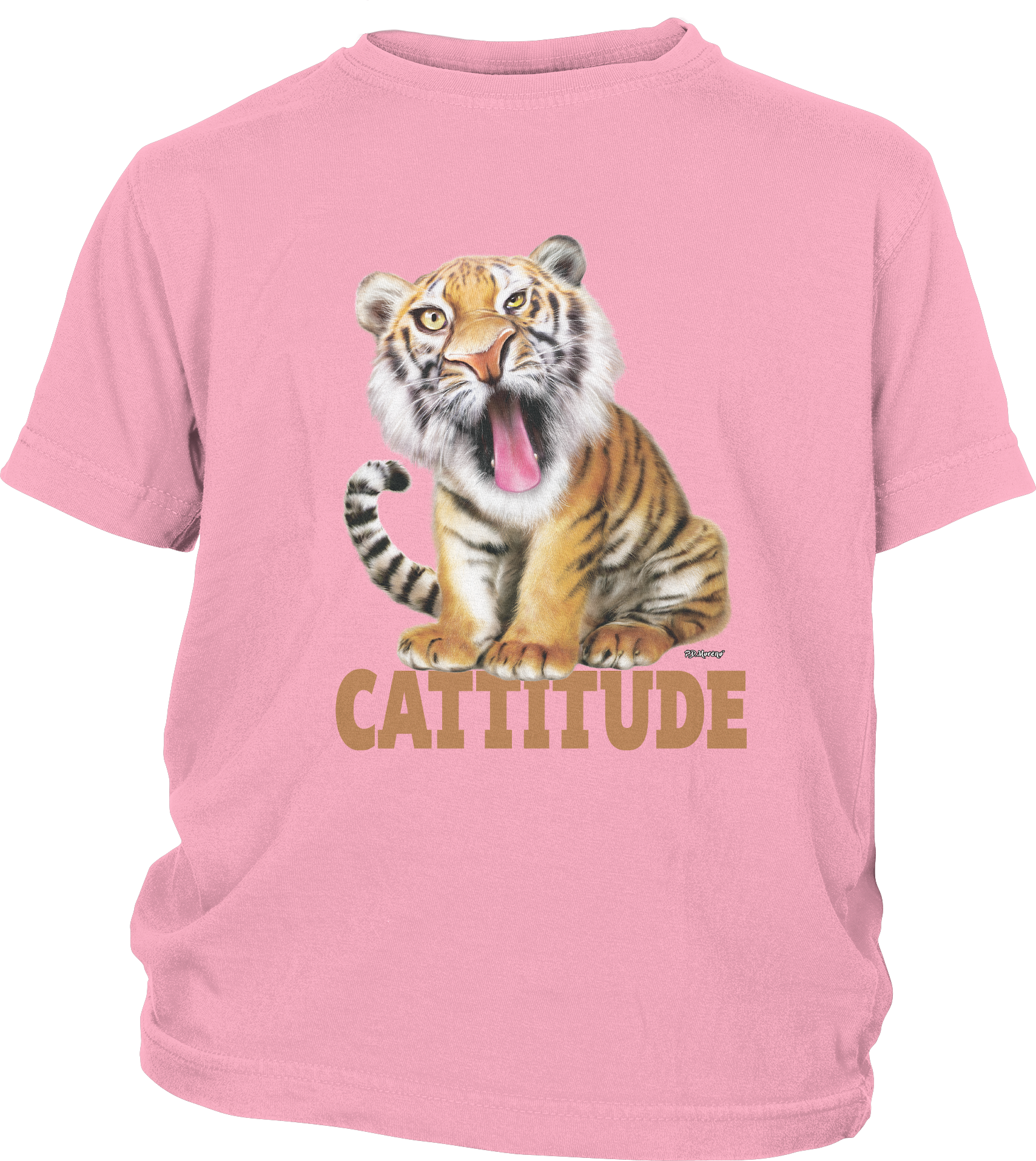 Youth Short Sleeve T-Shirt with AFL Tiger